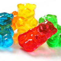 Shiny Assorted Bears